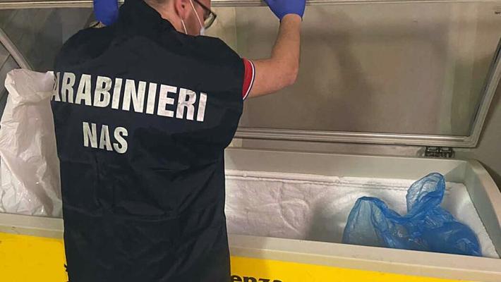 Sospensione immediata per “food truck” di Parma dopo un'ispezione del Nas: rilevate gravi violazioni igienico-sanitarie