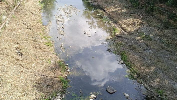 Giungla nel Ghiara e nel Citronia:  iniziata la pulizia dei torrenti