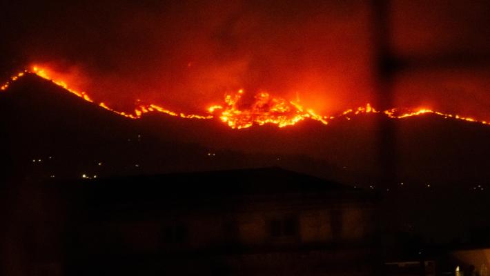 Palermo, tre morti per gli incendi che assediano la città