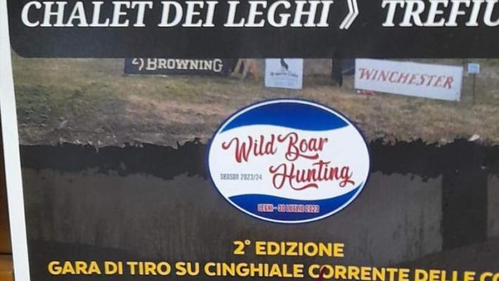Ritorna la gara di tiro su cinghiale corrente: bocciata dalle guardie ecologiche e dagli ambientalisti ma difesa dal sindaco: "C'è spazio per tutti"