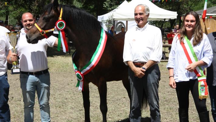 Cavallo bardigiano, Wendy e Maestrale incantano la giuria 