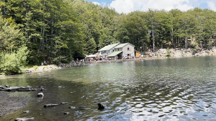 Arriva il “bosco bus”: da Parma città sino all’appennino 
