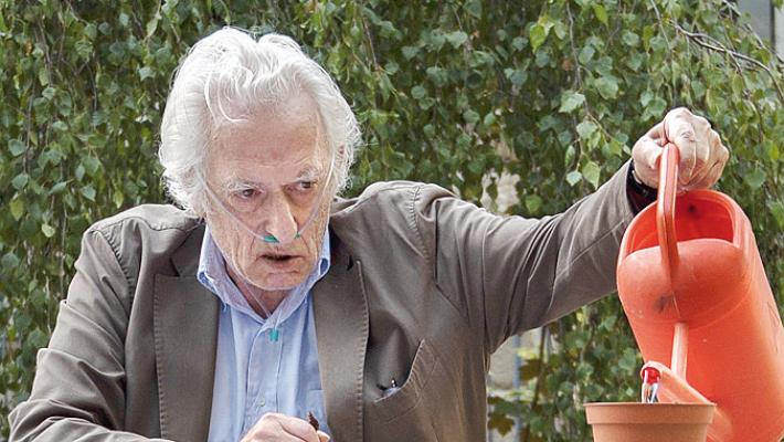 Lucchi e Berceto, il futuro curato come una piantina