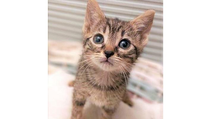 Ma siete sicuri che per me non c'&egrave; una casa?