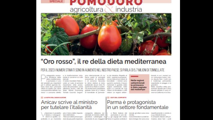 Speciale pomodoro: (domani) inserto di 16 pagine sull' "oro rosso"