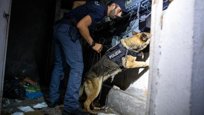 Operazione antimafia in tutta Italia, 84 misure cautelari 