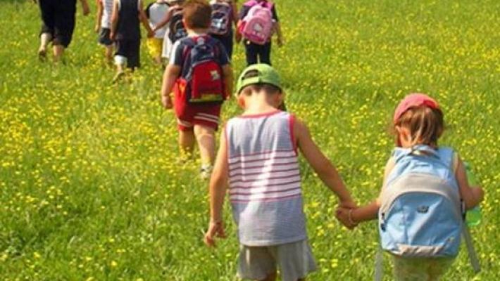 Fidenza: centri estivi, l'anno dei record: accolti 1.739 iscritti da 0 a 14 anni