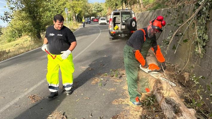 Salsomaggiore, due alberi sono caduti per le raffiche di vento: code e disagi, ma nessuna persona è rimasta coinvolta