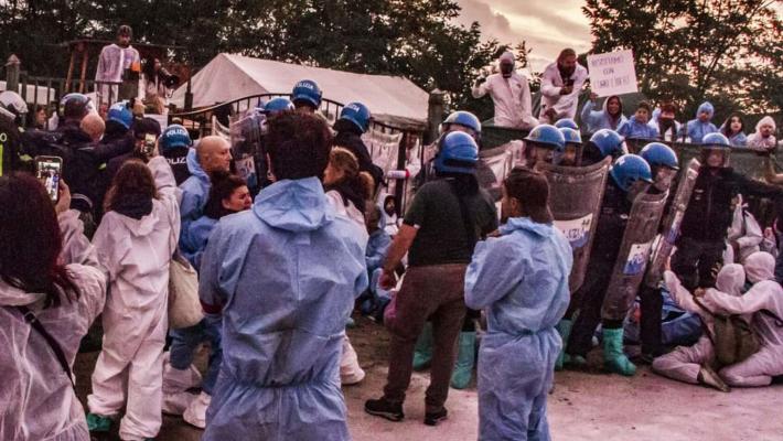 Asserragliati con maiali malati, animalisti sgomberati