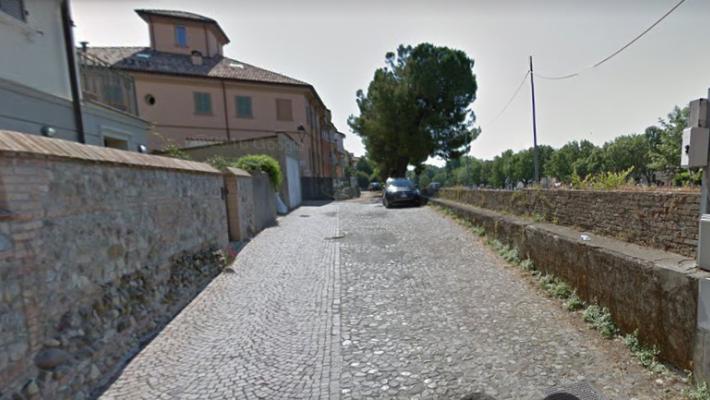 Tagliati pini marittimi nel 2019 in via De Amicis: Sgarbi minaccia una causa al Comune di Montecchio Emilia