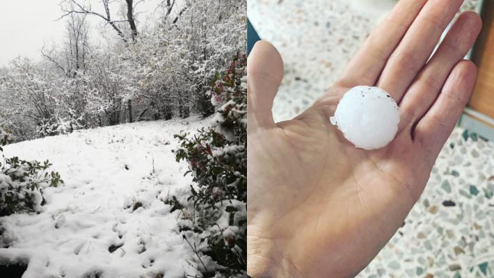 Neve