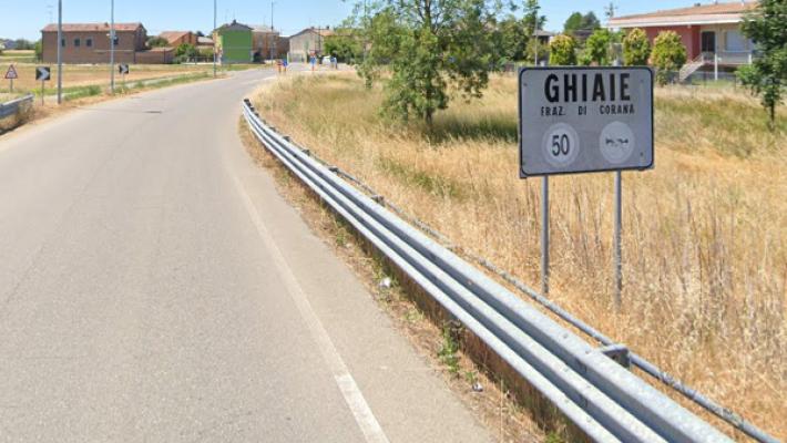 Pitbull scappa dal cancello, aggredisce e uccide un' anziana in provincia di Pavia