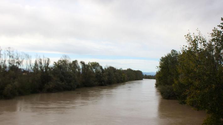 Comunicato AIPo (Agenzia Interregionale per il fiume Po)