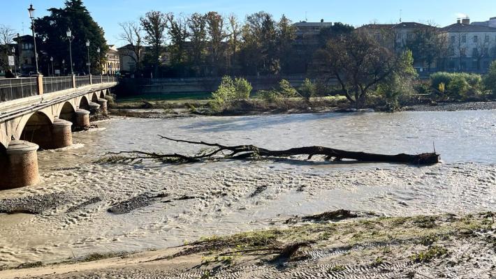Grosso ramo "spiaggiato" davanti al ponte Caprazucca