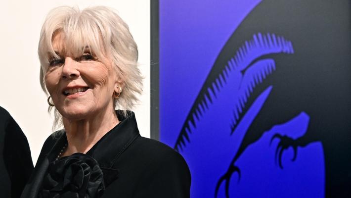 Milano, Caterina Caselli inciampa nei fili dell'albero di Natale in Galleria e si rompe l'omero: "Fate attenzione"