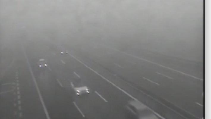 Nebbia a Parma e provincia, disagi in A1 e in A15 