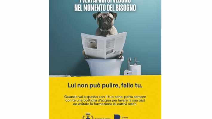 "I veri amici si vedono nel momento del bisogno - Lui non può pulire fallo tu"