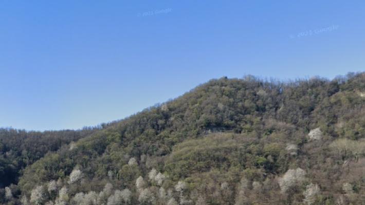 Uomo di 60 anni trovato morto nei boschi del Lecchese