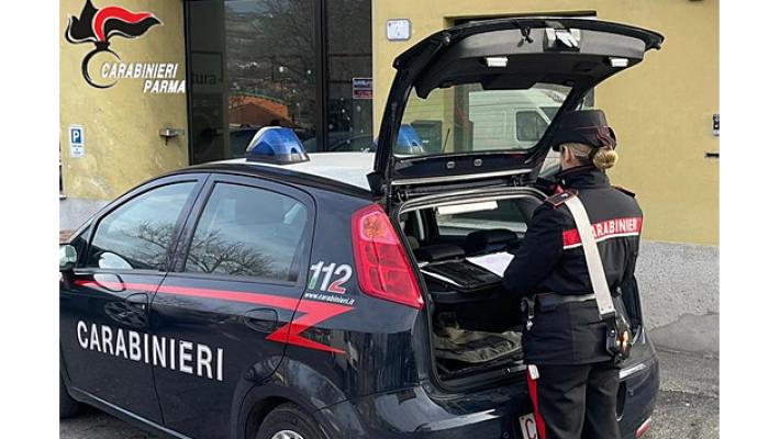 Furti seriali