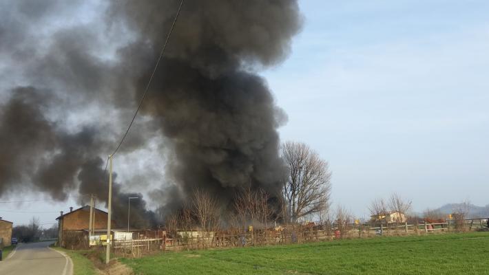 Salsomaggiore, incendio in un maneggio di Scipione. Cavalli tratti in salvo