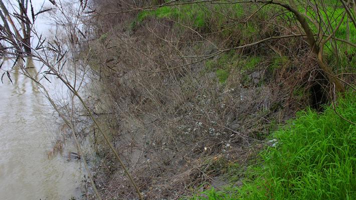 La piena del Po ha causato diverse erosioni spondali
