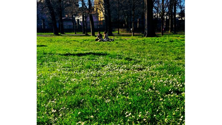Al  Parco Ducale è arrivata la primavera (con un po' di anticipo)