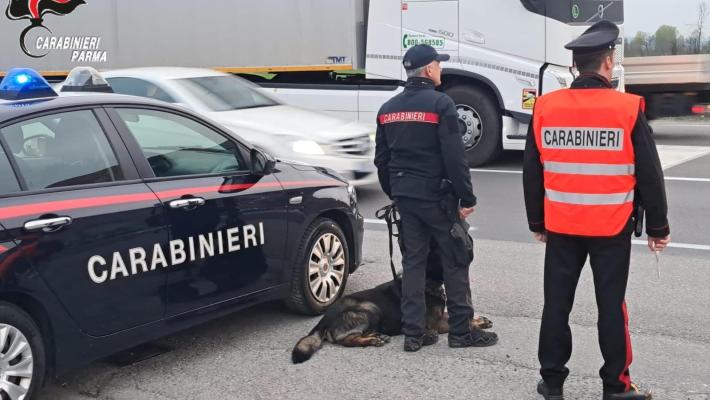 Controlli dei carabinieri a Fidenza e Ponte Taro, anche con i cani antidroga: diverse denunce