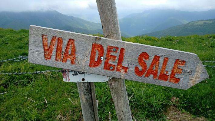 Due escursionisti svizzeri salvati in Appennino. Ai soccorsi hanno partecipato anche i vigili del fuoco di Parma