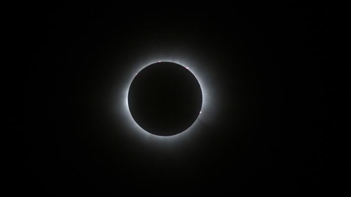 L'America col naso all'insù per l'eclissi totale di sole