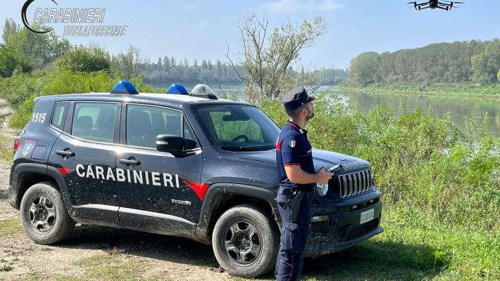 Comunicato carabinieri forestali