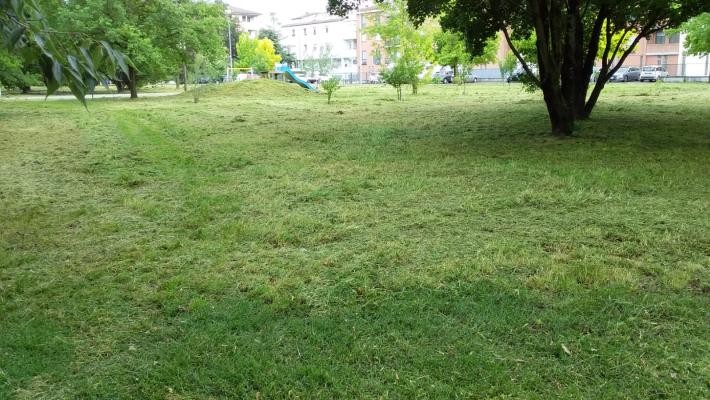 Campanini (Pd): "Bene gli sfalci nei parchi, superato il 90%. E il parco di via Picasso è stato sistemato oggi"