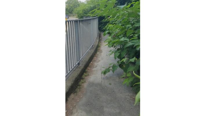 Parma, la pista ciclabile del sottopasso ferroviario di via Reggio è invasa dalla vegetazione