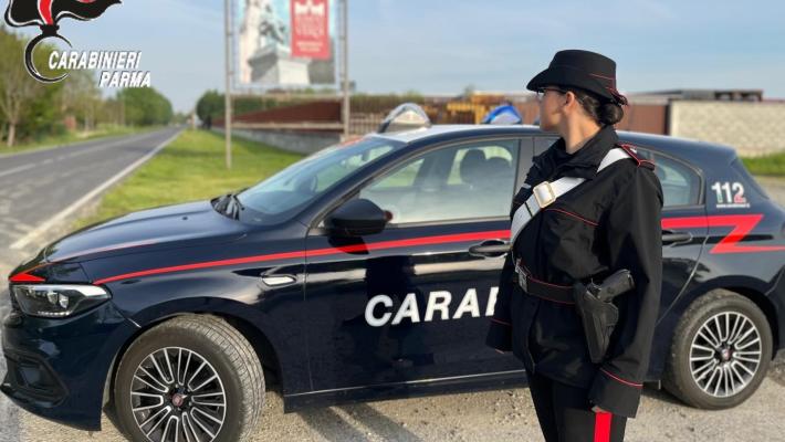 Fidenza: Prende tre pezzi di Parmigiano Reggiano e tre di coppa in una borsa ed esce dal supermercato senza pagare. Denunciata 53enne. 
