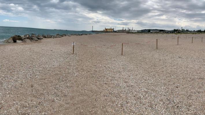 Ragazzo di 12 anni annega nel mare di Falconara Marittima. La mamma colpita da malore