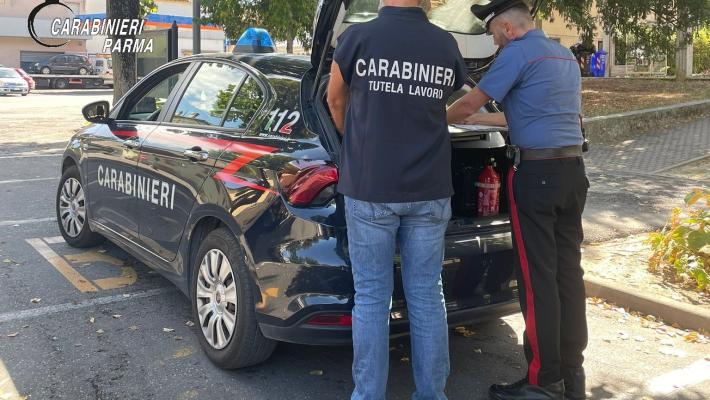 Parma: controlli straordinari nel settore agricolo per il contrasto del lavoro “nero”. Riscontrate violazioni e comminate sanzioni.
