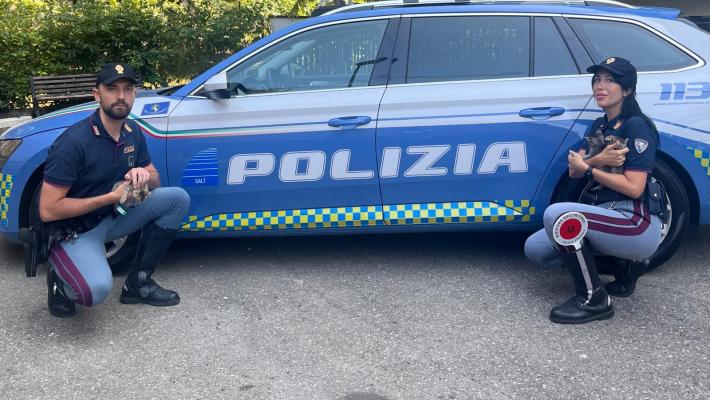 Mici appena nati abbandonati nell'area di servizio di Medesano: salvati dalla Polstrada di Berceto