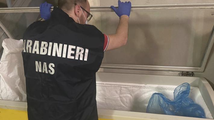 Sporco vecchio, insetti in cucina e alimenti irregolari: multa dei Nas e attività sospesa per un ristorante a Parma