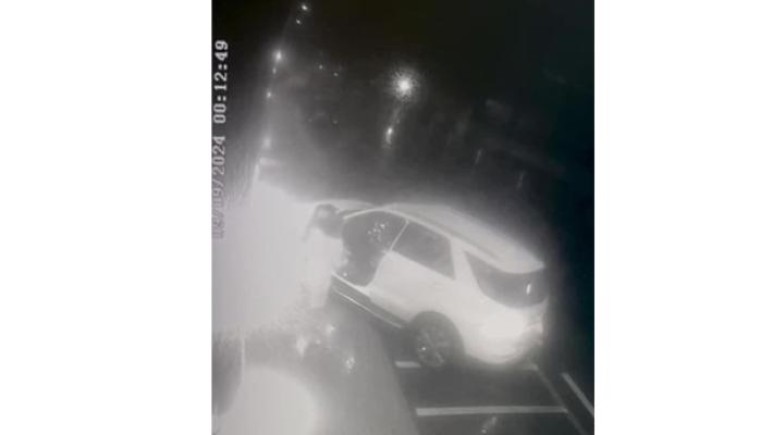 Viareggio: la pietà  è morta
