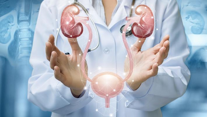Una nuova  urologia alle Piccole Figlie