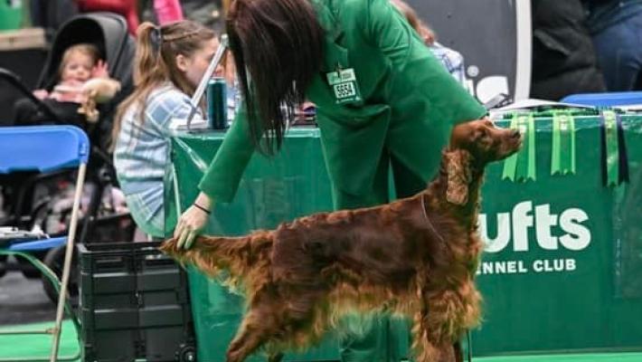 European Dog Show, in gara 15mila cani. Italia in prima fila