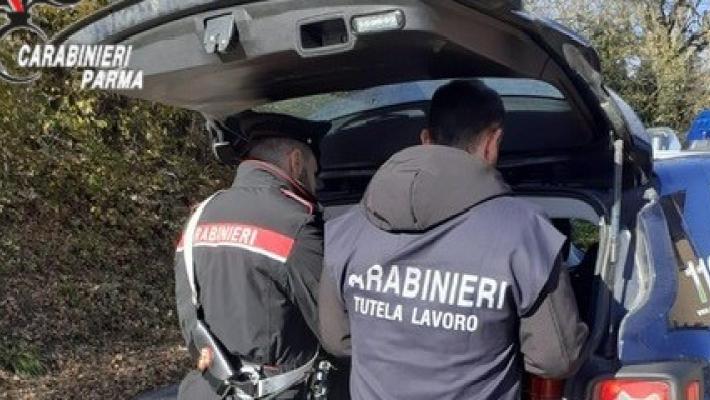 Parma: segna ai suoi dipendenti meno ore di lavoro rispetto a quelle effettivamente svolte. Denunciato imprenditore 40enne