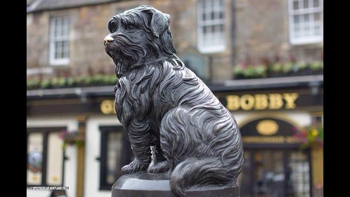 Greyfriars Bobby, cane speciale simbolo di amicizia e fedeltà