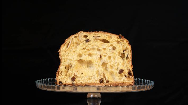 panettone Dissapore 