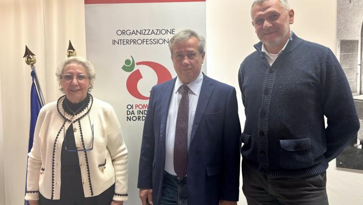 Giuseppe Romanini è il nuovo Presidente dell'OI Pomodoro da Industria Nord Italia