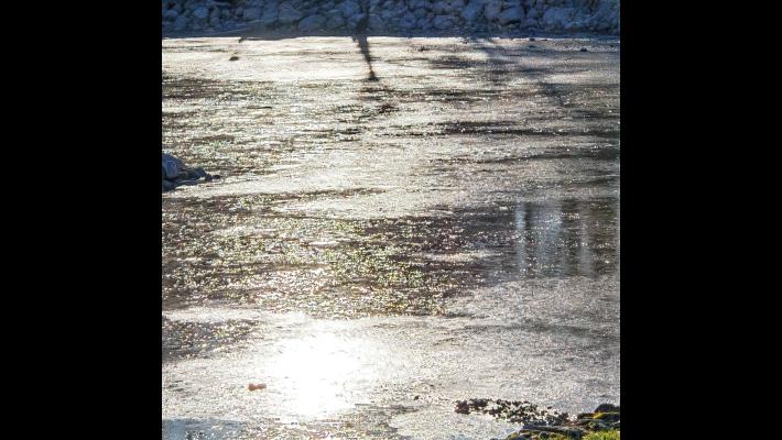 Parco Ducale, lo spettacolo del lago ghiacciato in una giornata di sole