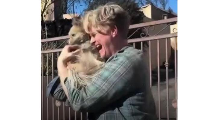 Quando l’emergenza chiama: i pets in situazioni critiche  