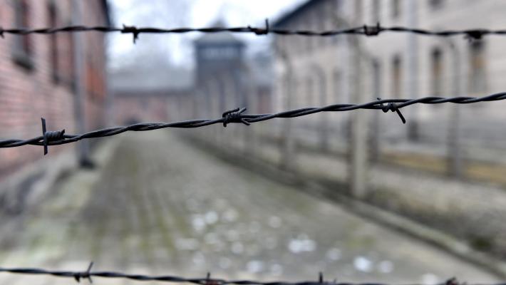 Giornata della memoria Fermare l'odio in  rete