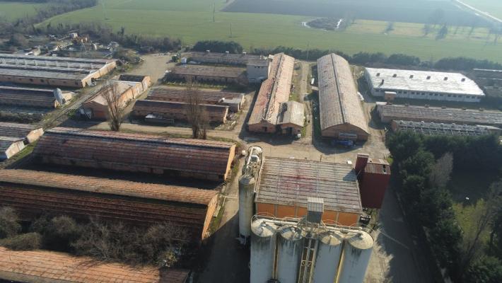 Azienda agricola Drugolo: smaltito l’amianto sul tetto degli edifici dell’allevamento di suini