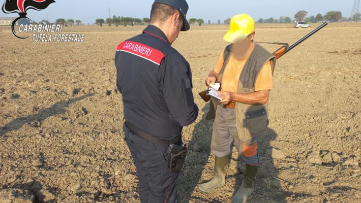 Controlli dei Carabinieri Forestali eseguiti nell’ambito della campagna “FAUNA SICURA 2025”.  