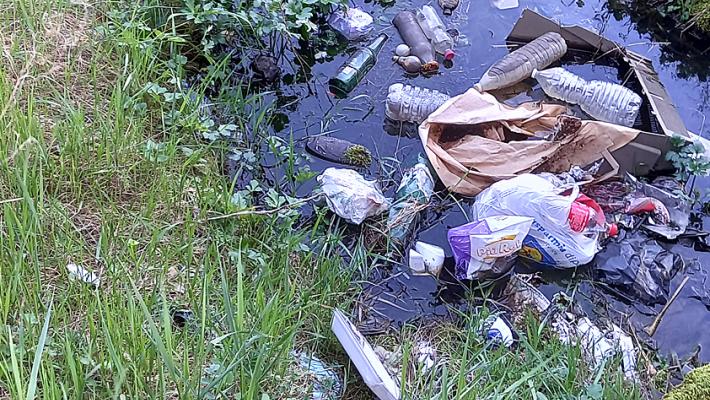 Vignali: "Più di otto segnalazioni di abbandono di rifiuti al giorno. Controlli: Parma ferma a quattro anni fa"